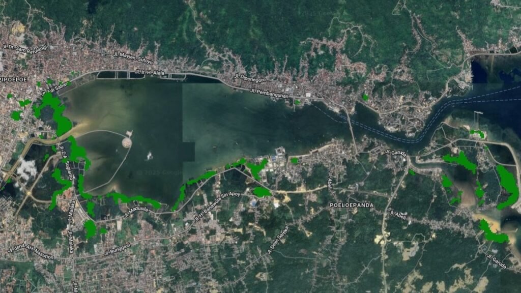 Sebaran hutan mangrove (warna hijau) di sekitar Teluk Kendari, Kota Kendari, Sulawesi Tenggara (Sultra).