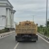 Imbauan Dishub Diabaikan, Truk Overloading Masih Merajalela di Kendari