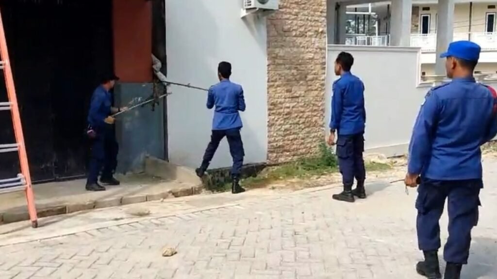 Tim Rescue Damkarmat Kota Kendari mengevakuasi seekor kus-kus yang berada di atas atap rumah warga di Villa Cantika Permai, Kelurahan Lepoepo, Kecamatan Baruga, Kota Kendari.