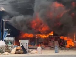 Diduga Dipicu Percikan Rokok, Kebakaran di Poasia Kendari Rugikan Rp400 Juta