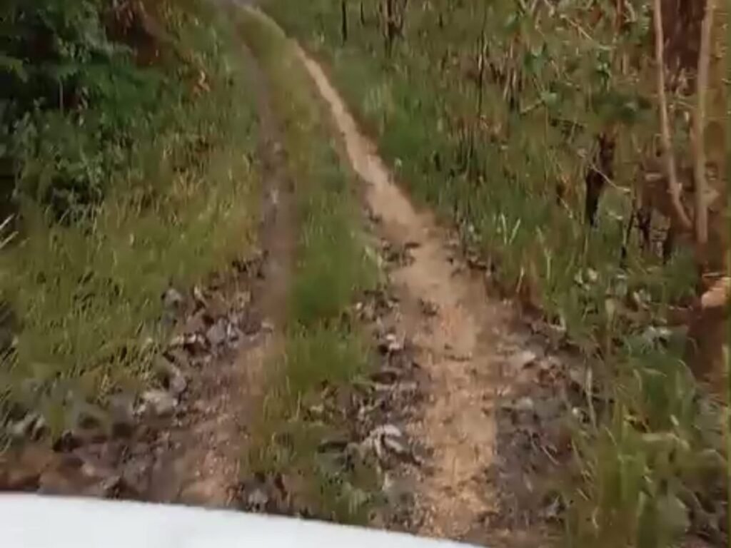 Akses jalan dari jalan poros Desa Liwumetingki menuju Desa Labulawa, Kecamatan Pasir Putih, Kabupaten Muna, harus dilalui dengan menempuh jarak sekitar 5 – 7 kilometer melewati kawasan hutan.