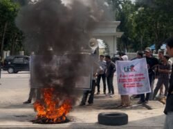 Polda dan DPRD Sultra Didesak Tertibkan Praktik Premanisme di Kawasan Hutan Negara di Kolaka