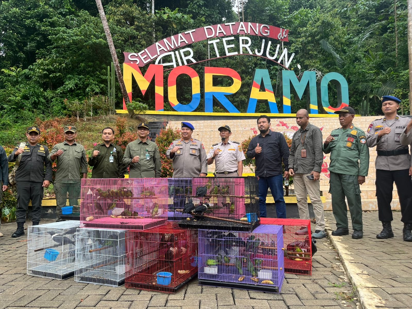 182 Ekor Burung Endemik yang Hendak Diselundupkan Dilepasliarkan ke Tanjung Peropa Konsel 182 Ekor Burung Endemik yang Hendak Diselundupkan Dilepasliarkan ke Tanjung Peropa Konsel
