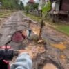 Warga Tanam Kelapa dan Pisang di Jalan Rusak Korihi, Muna, Tuntut Perbaikan