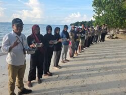 Balai Taman Nasional Wakatobi Edukasi Mangrove hingga Lepas 159 Tukik