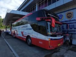 PO Borlindo Resmi Buka Rute Kendari ke Makassar, Toraja, dan Palu