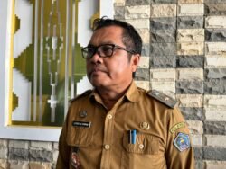 Angin Kencang Picu Pohon Tumbang, Pemkot Kendari Intensifkan Pemangkasan di Titik Rawan