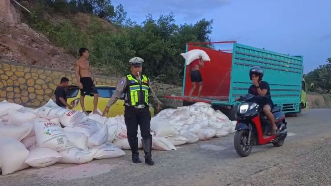 Truk Tronton Alami Kecelakaan Tunggal di Kolaka, Muatan Karung Berisi Pupuk Berserakan di Jalan Truk Tronton Alami Kecelakaan Tunggal di Kolaka, Muatan Karung Berisi Pupuk Berserakan di Jalan