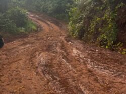 Derita Masyarakat Routa Konawe, Jadi Daerah Tertinggal dengan Polemik Jalan Rusak dan Listrik