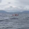 6 ABK Kapal yang Tenggelam di Perairan Bambaea Bombana Ditemukan Selamat