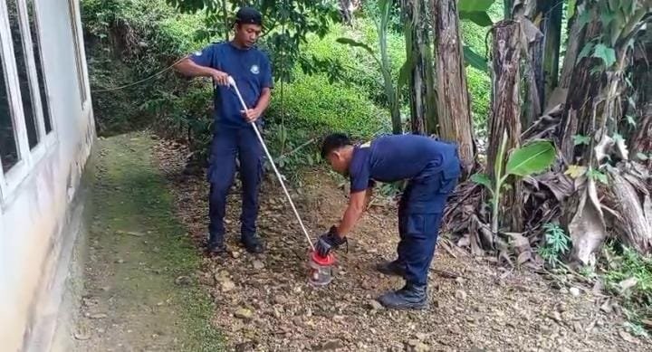 Damkarmat Kendari Evakuasi Ular di Samping Rumah Warga Mandonga Damkarmat Kendari Evakuasi Ular di Samping Rumah Warga Mandonga