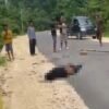 Tabrakan Truk dan Motor di Konawe Kepulauan, 1 Orang Tewas