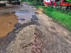 Ironi Daerah Penghasil Aspal, Jalan Poros Lasalimu Buton Rusak Parah Puluhan Tahun