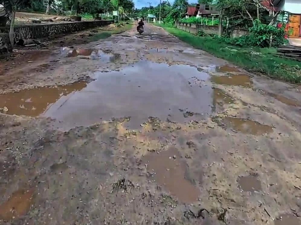 Potret jalan poros yang rusak parah di Desa Lasalimu, Kecamatan Lasalimu, Kabupaten Buton.