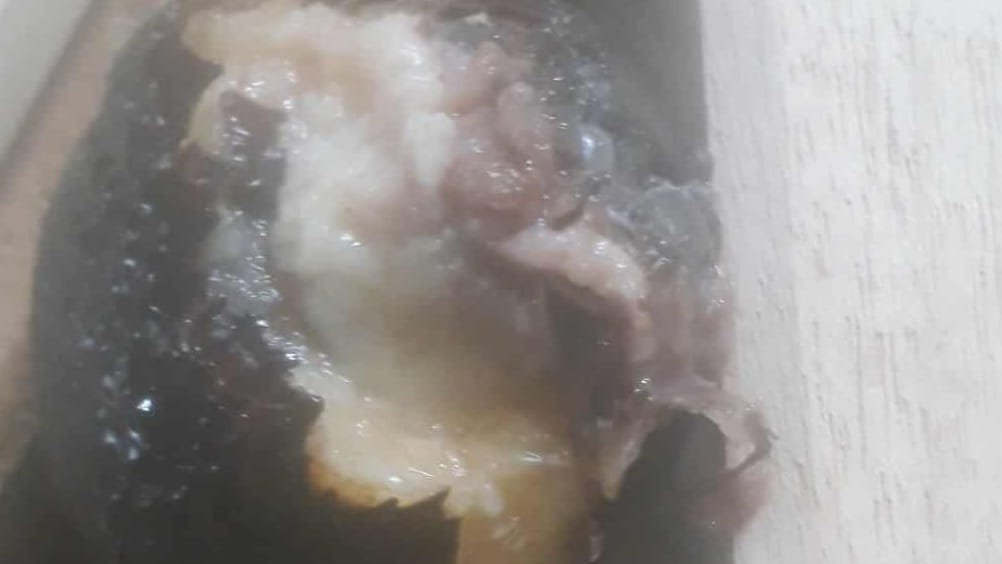 Isi buah salak membusuk dalam program makanan bergizi gratis (MBG) yang diterima siswa Sekolah Menengah Atas Negeri (SMAN) 1 Kabangka, Kabupaten Muna, Sulawesi Tenggara (Sultra).