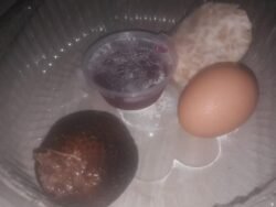 Protes Ayah Siswa SMAN 1 Kabangka, Muna: Menu Buah Busuk dalam MBG