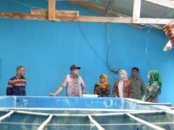 Potensi Udang Sultra Capai 4 Juta Benur per Tahun, Pemprov Dorong Produksi hingga 400 Ton