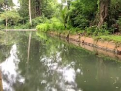 Debit Mata Air Jompi Muna Terus Menyusut, Terancam Hilang Tahun 2045