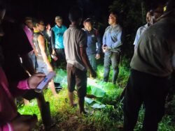 Warga Landono Konsel Meninggal Diduga Tersambar Petir saat Ambil Bambu di Kebun