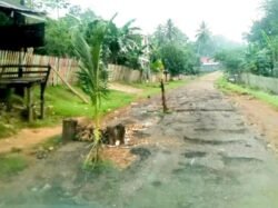 Kabar Baik, Jalan Mantobua – Korihi di Muna yang Ditanami Pohon Pisang Bakal Segera Diperbaiki