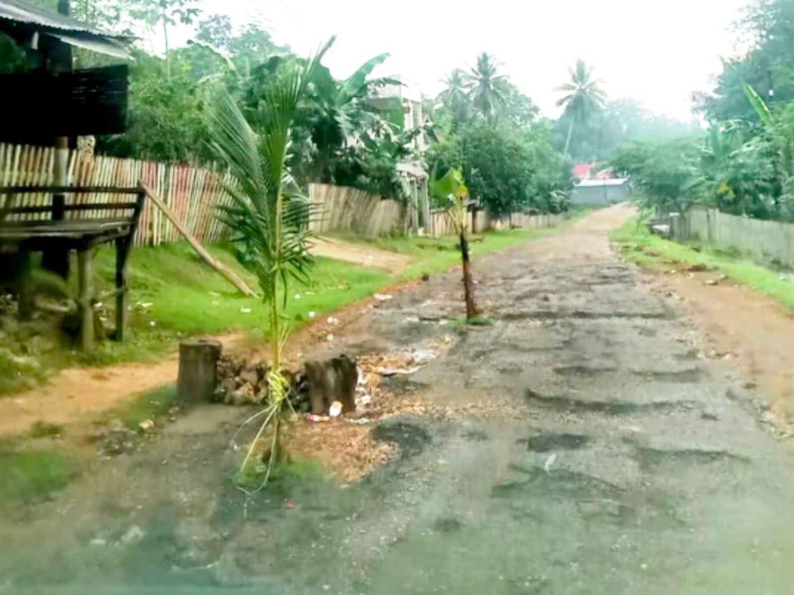 Kabar Baik, Jalan Mantobua – Korihi di Muna yang Ditanami Pohon Pisang Bakal Segera Diperbaiki Kabar Baik, Jalan Mantobua – Korihi di Muna yang Ditanami Pohon Pisang Bakal Segera Diperbaiki