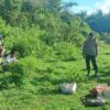 Aksi Pencurian Sapi di Mubar, Pelaku Bawa Kabur Daging dan Sisakan Tulang hingga Janin