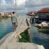 Kondisi Jembatan Pelangi di Wakatobi Makin Rusak Parah, Kades Harap Perhatian Pemerintah