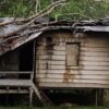 Pohon Jati Tumbang Rusak Rumah Lansia di Bakeramba, Muna Barat