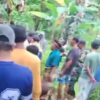 Petani di Buton Tewas Tertimpa Pohon Pisang saat Berkebun