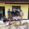 Curi 4 Ekor Kambing, 6 Pemuda Diciduk saat Hendak Kabur di Pelabuhan Waara Buteng