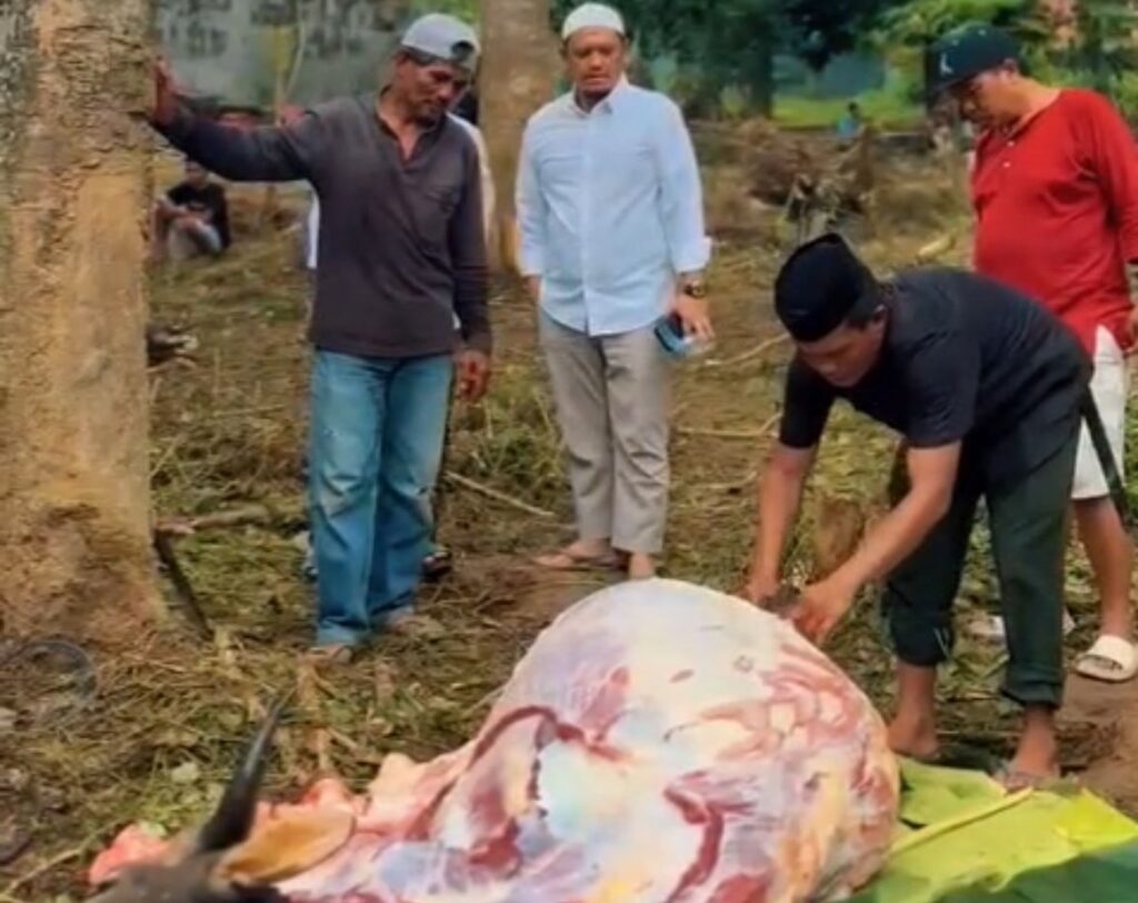 Proses pemotongan hewan kurban di rumah Ketua Dewan Pimpinan Wilayah (DPW) Partai Perindo Sulawesi Tenggara (Sultra), Ferry Irawan.
