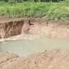 Lahan Sawah Tiba-Tiba Amblas di Ueesi, Kolaka Timur