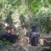 2 Pelaku Pembalakan Liar di TWA Mangolo Kolaka Ditetapkan Jadi Tersangka