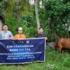 Bank Sultra Salurkan 23 Ekor Sapi Kurban untuk Masyarakat di 17 Daerah