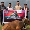 Iduladha 1447 Hijriah, The Park Kendari Salurkan Sapi Kurban untuk Warga dan Karyawan