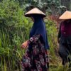 Keluarga Minta Kapolri dan DPR Bebaskan Petani Konawe yang Dikriminalisasi PT SCM