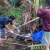 Hilang 5 Hari, Petani Konawe Ditemukan Meninggal di Area Rawa