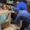 Ular Masuk Kolong Dapur Rumah Warga di Puuwatu, Damkarmat Kendari Lakukan Evakuasi