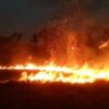 2 Kali Kebakaran Lahan dalam Sehari, Damkarmat Wakatobi Padamkan Api Secara Manual