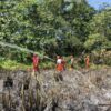 Lahan Kosong di Baula Kolaka Terbakar, Damkar Berjibaku Hampir 3 Jam Padamkan Api