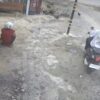 2 Maling Terekam CCTV Curi Ayam Warga Mokoau Kendari