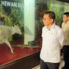 Menteri Kebudayaan Dorong Revitalisasi Museum Sultra, Soroti Lukisan Purba Tertua di Muna