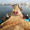 Warga Gotong Royong Perbaiki Jembatan Penghubung Horuo – Mantigola di Wakatobi