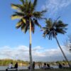 Pantai Mutiara, Hidden Gem di Kendari yang Tawarkan Panorama Teluk dan Suasana Tenang