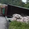 Truk Bermuatan Semen Terbalik di Konsel, Jalur Landono Sempat Macet