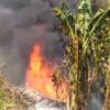 Lahan di Kokalukuna Baubau Terbakar, Api Berhasil Dipadamkan Sebelum Meluas