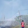 Padang Rumput Terbakar di Komala, Wakatobi, Suhu Panas Percepat Api Menyebar