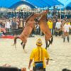 Pogiraha Adhara, Ewa Wuna, hingga Modero Jadi Magnet Silaturahmi Akbar KKMM di Kendari