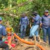 Tambang Emas Ilegal di Bombana Digerebek, 7 Orang Diamankan