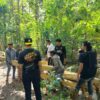 5 Pelaku Pembalak Liar di Kawasan Hutan Busel Ditangkap Polisi